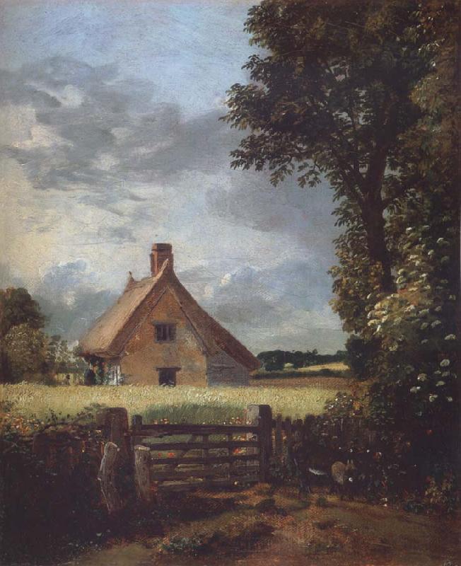 John Constable A cottage in a cornfield